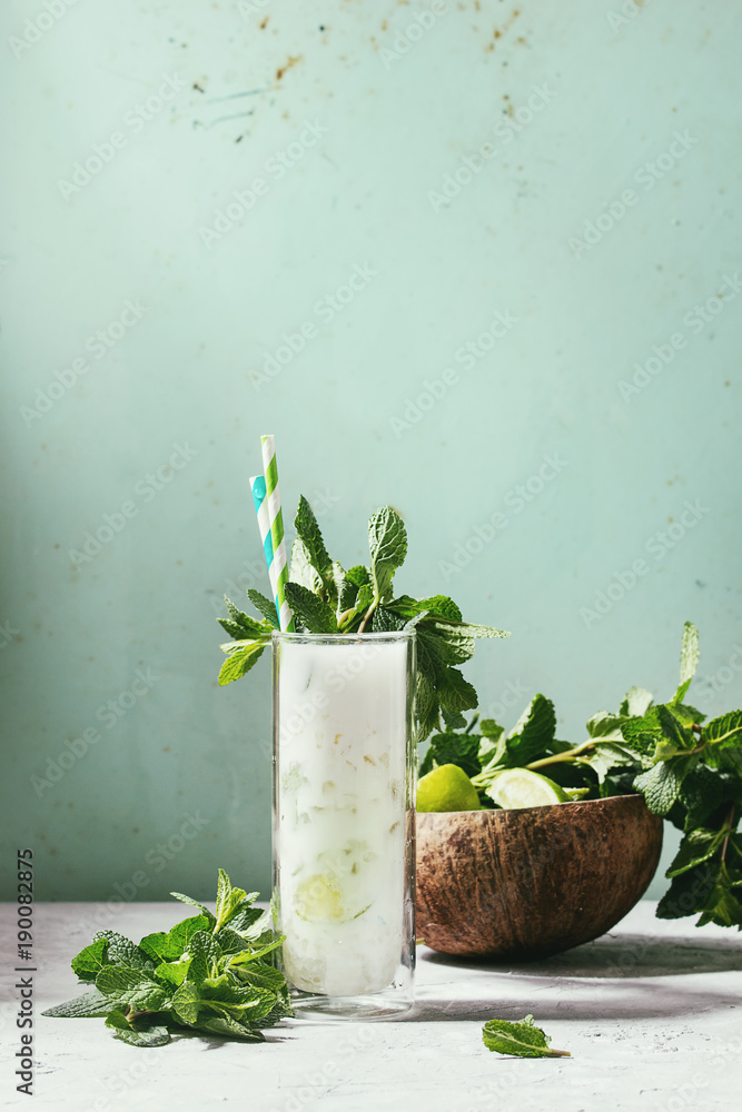 Glass of coconut milk mojito cocktail with fresh mint, limes, crushed ice, retro cocktail tubes with ingredients above. Pin up style, sunlight, green background. Toned image