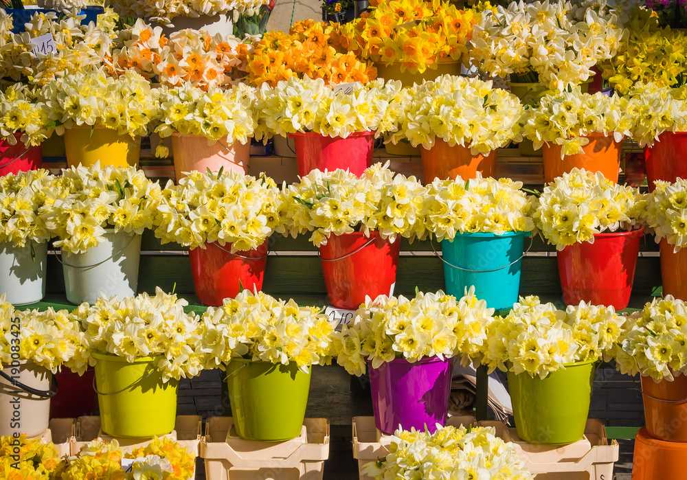 funny multi colored buckets with yellow daffodils, narcissus bouquet background, spring flowers on the market