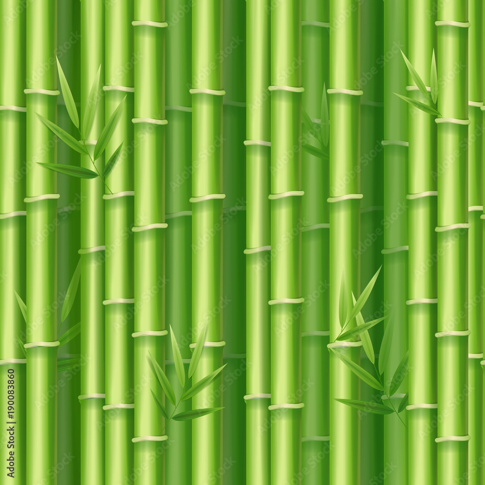 Fototapeta premium Realistic 3d Detailed Bamboo Shoots Background. Vector