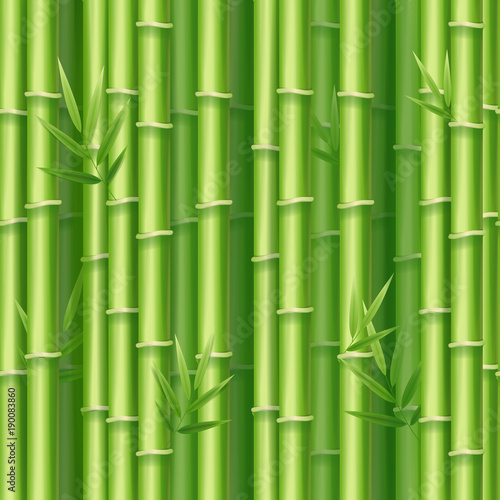 Fototapeta Naklejka Na Ścianę i Meble -  Realistic 3d Detailed Bamboo Shoots Background. Vector