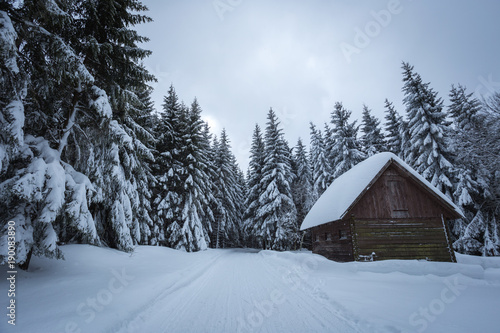 Winter landscape with wooden cottage. Lot of snow everywhere. Czech mountains. © vladimirhodac