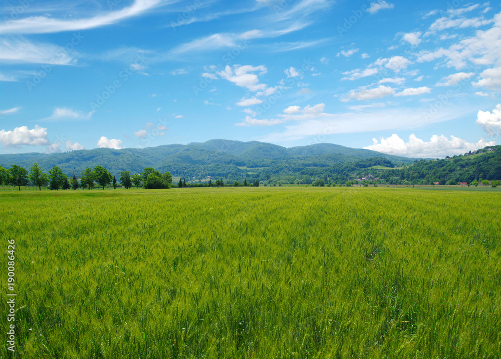 Mountain landscape summer