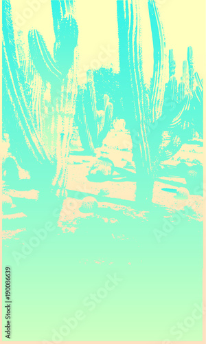 sukkulente, cactus, kaktus, kakteen, blüte, frucht, palme, palmblatt, blätter, stachel, wüste, californien, mexiko, süden, sommer, western, silhouette, pastell, farben, hell, licht, fleischig, wasser,