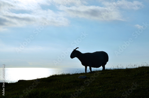 Breathtaking view of the Isle of Skye coast photo