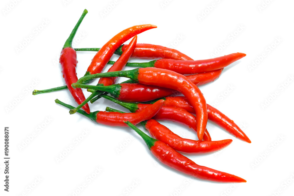 Chili in white background