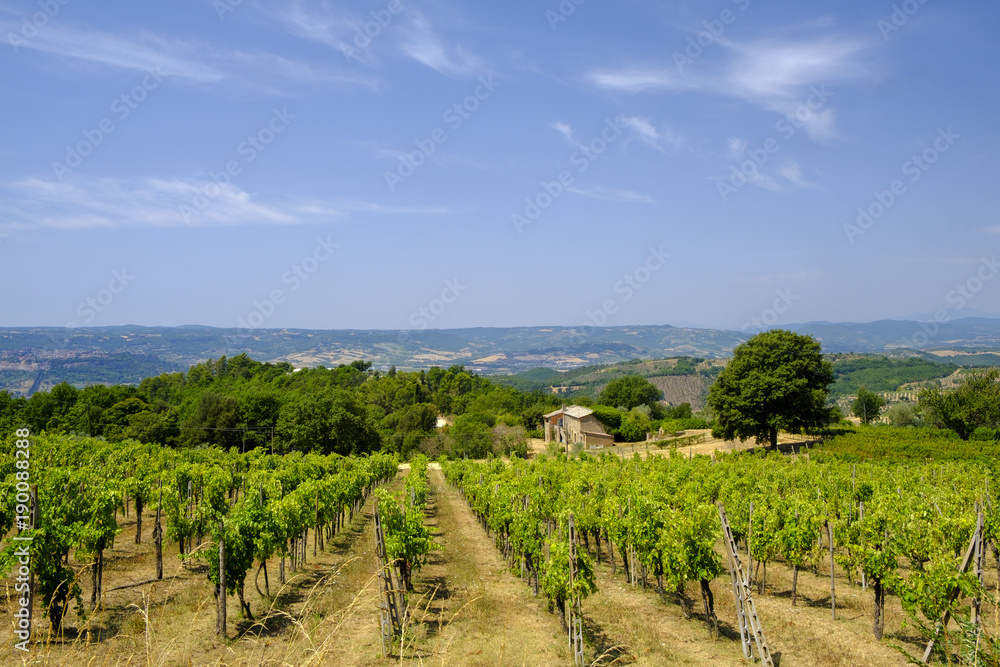 Country landscape from Orvieto to Todi, Umbria, Italy