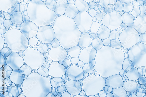 foam cells closeup