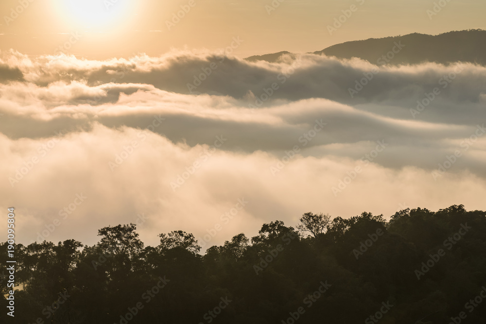 Fototapeta premium Mountain mist