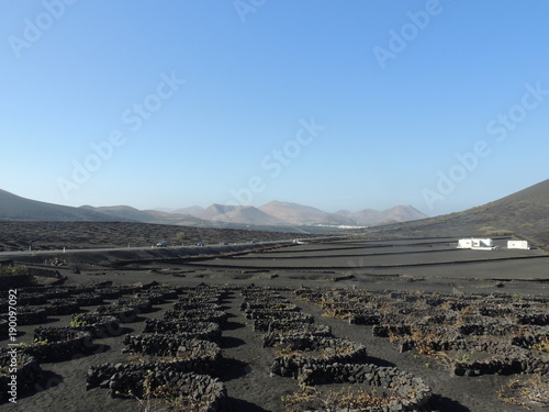 Paysage de Lanzarote