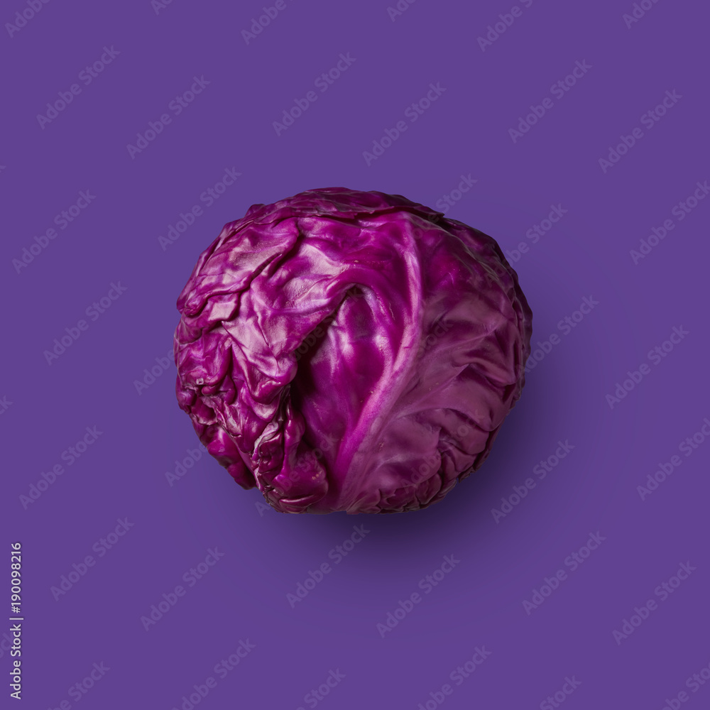 purple cabbage isolated on purple background purple cabbage isolated on purple background
