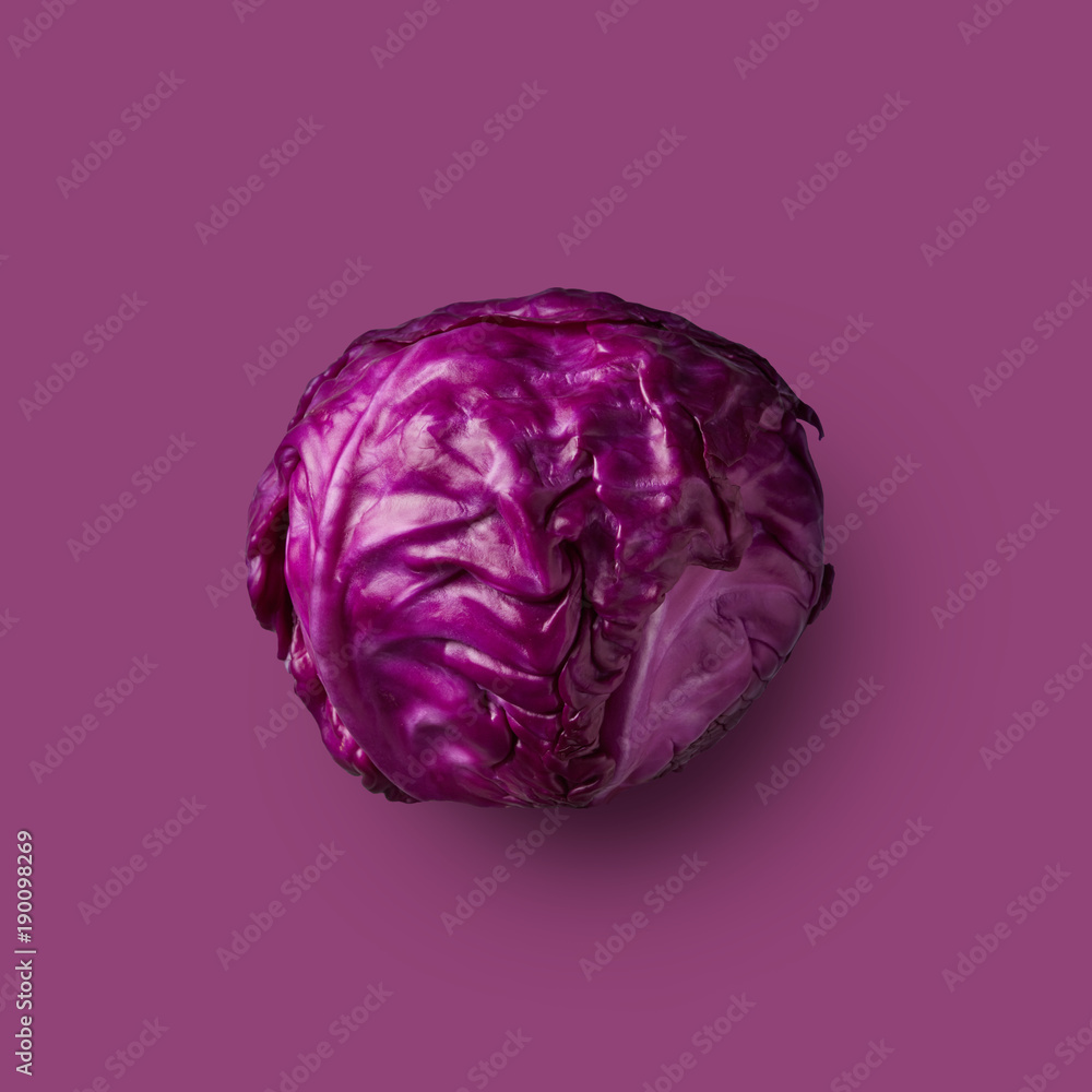 Red cabbage head isolated on purple background Red cabbage head isolated on purple background