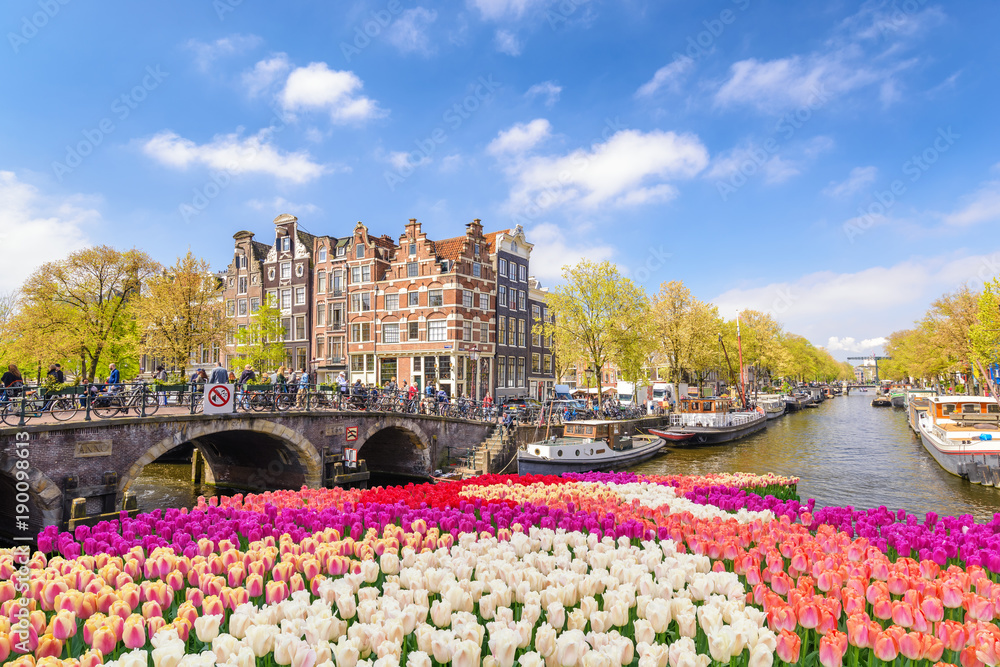 Fototapeta premium Amsterdam miasto linia horyzontu przy kanałowym nabrzeżem z wiosna tulipanowym kwiatem, Amsterdam, Holandia