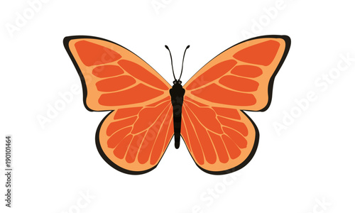 Schmetterling