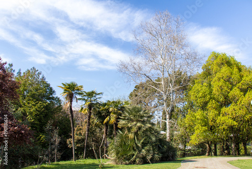 Beautiful spring Park arboretum in Sochi, founded by playwright Hudecova in 1889