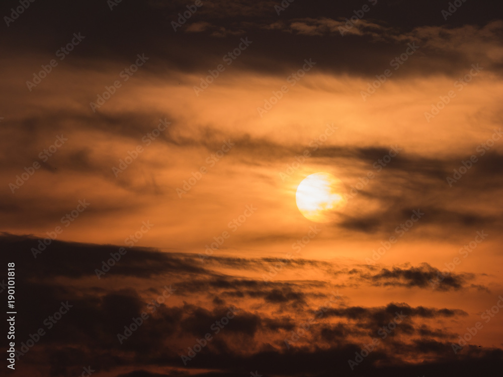 Fototapeta premium Golden Light of The Morning Sun