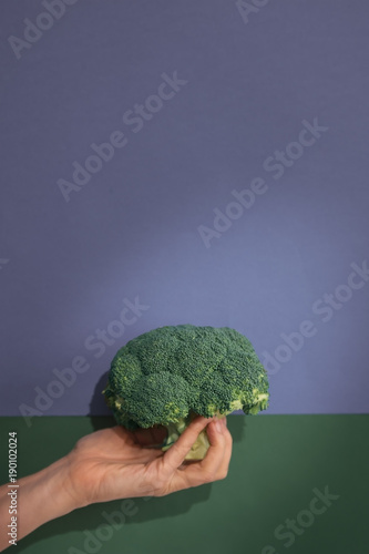 Organic broccoli in the hand of a woman on a colorful background
