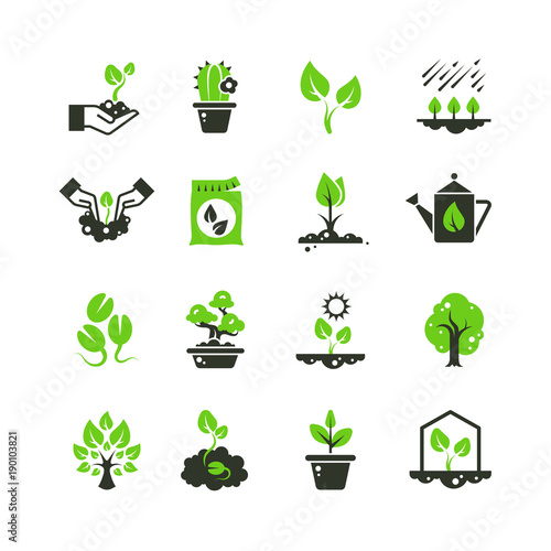 Tree sprout and plants vector icons. Seedling and hand planting pictograms