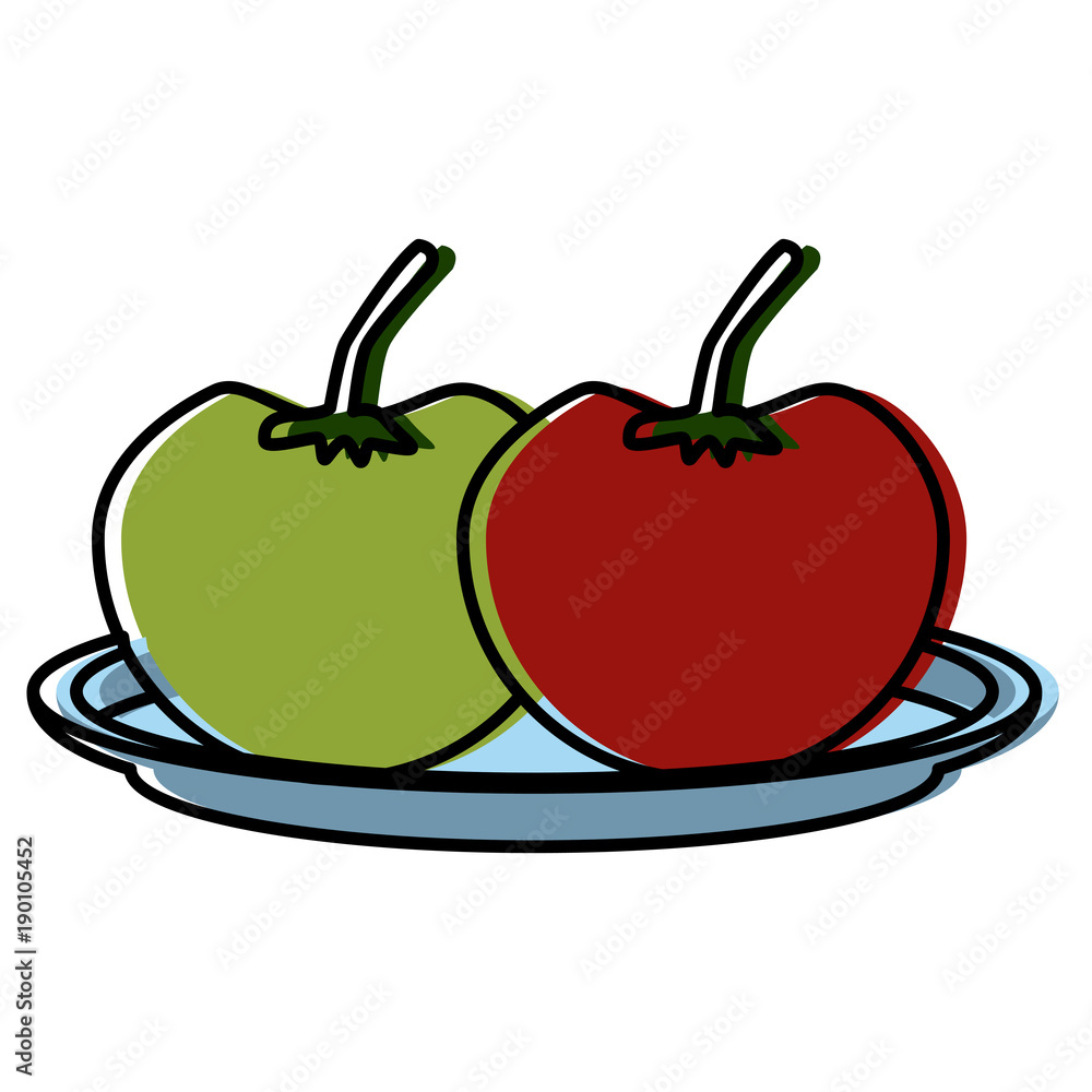 Tomatos vegetables dish icon vector illustration graphic design Tomatos vegetables dish icon vector illustration graphic design