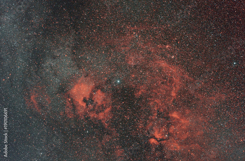 nebula in the Cygnus