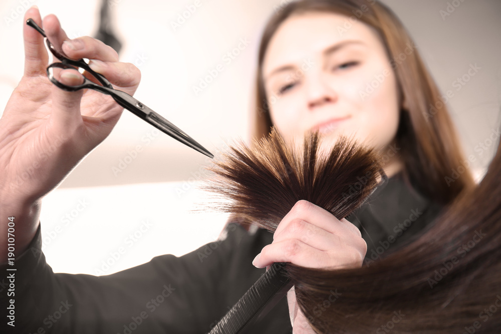 Professional stylist cutting woman's hair in salon, closeup