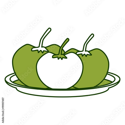 Tomatos vegetables dish icon vector illustration graphic design