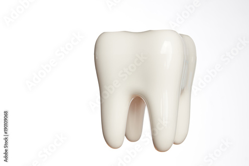 Ceramic tooth model isolated on white