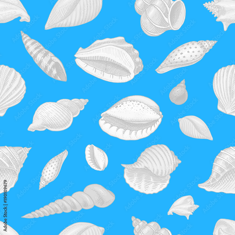 seamless pattern shells or mollusca different forms. sea creature. engraved hand drawn in old sketch, vintage style. nautical or marine, monster or food. animals in the ocean. seamless pattern shells or mollusca different forms. sea creature. engraved hand drawn in old sketch, vintage style. nautical or marine, monster or food. animals in the ocean.