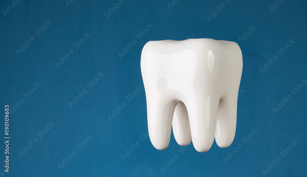 ermet ceramic tooth model isolated on blue ermet ceramic tooth model isolated on blue