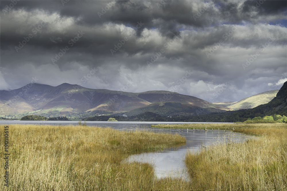 Lake District Marsh