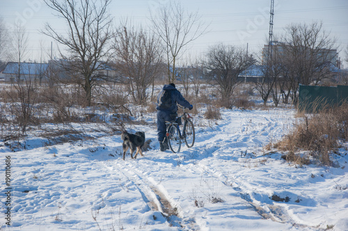A man with a bicycle and dogs around him in the winter.