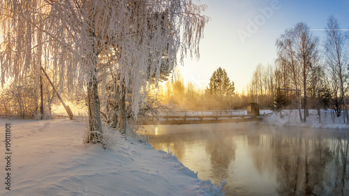 Заснеженный зимний лес кустами и елями на берегу реки с туманом, Россия, Урал, январь