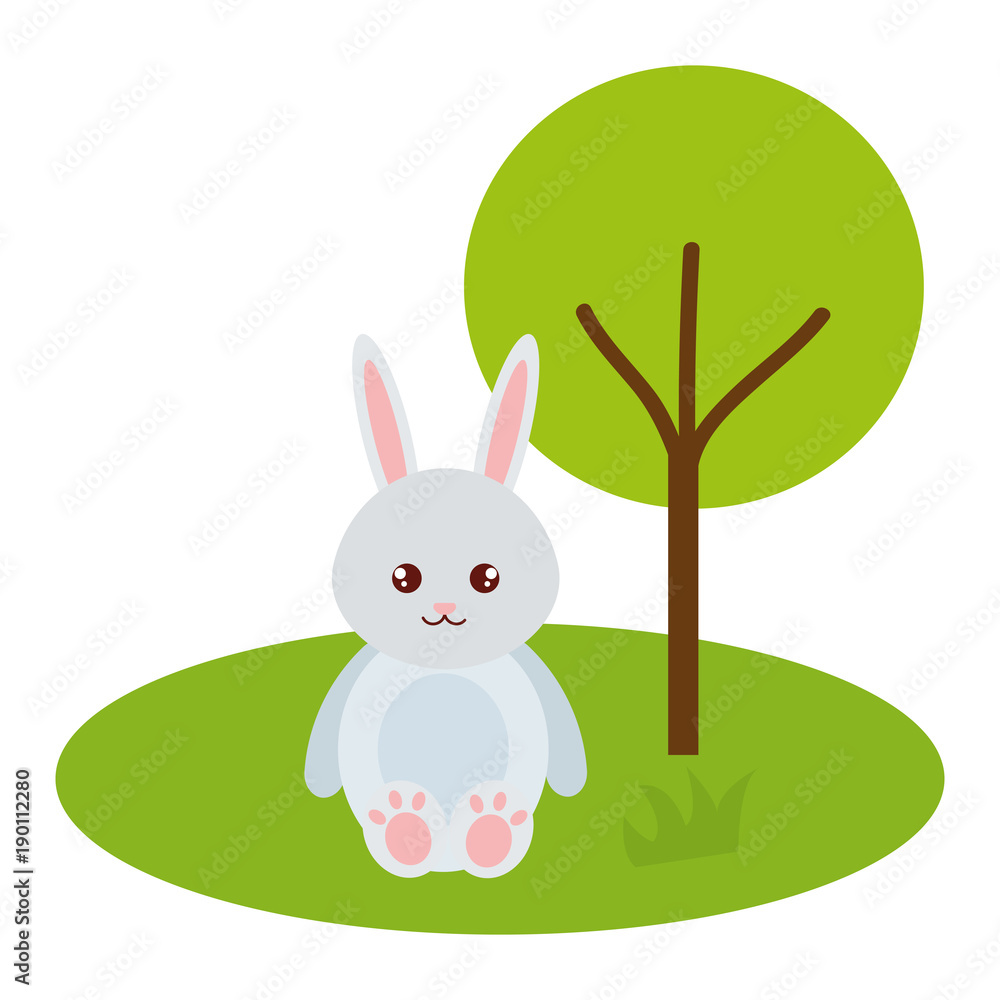 Fototapeta premium cute and tender rabbit in the park character