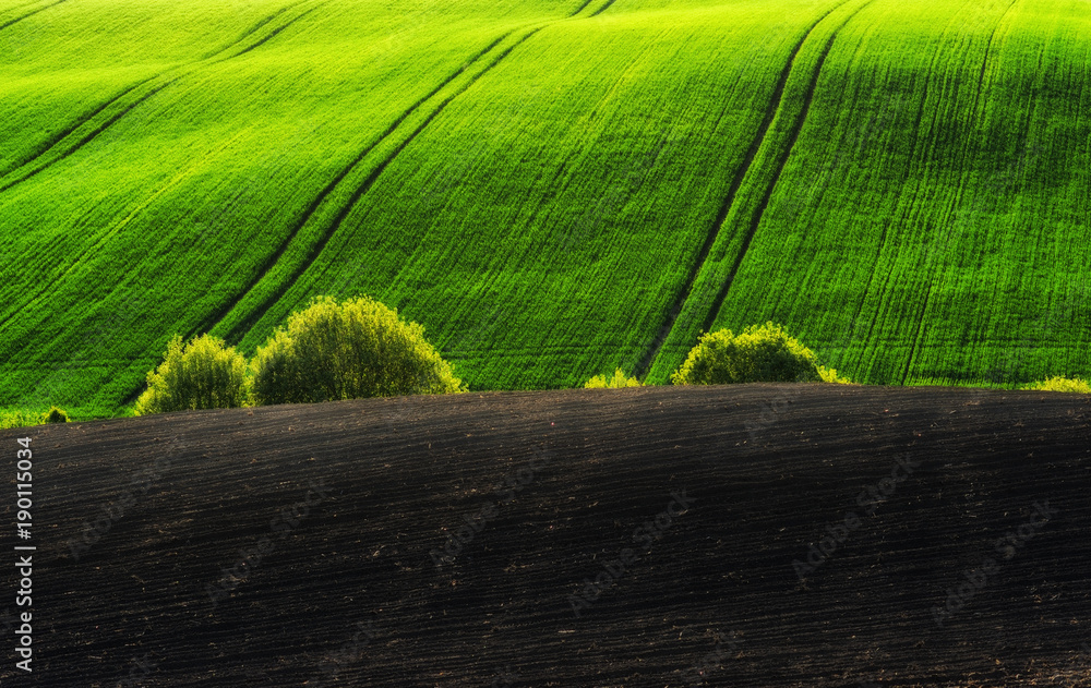 spring field. picturesque hilly field. agricultural field in spring spring field. picturesque hilly field. agricultural field in spring