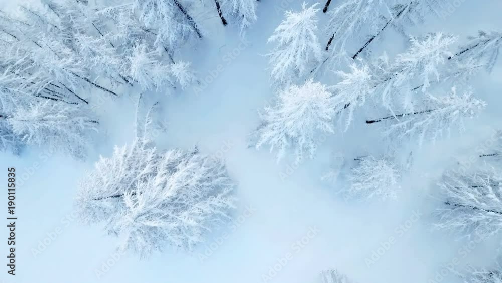 The landscape is beautifully white. There is a lot of snow on the trees. Aerial shot. The landscape is beautifully white. There is a lot of snow on the trees. Aerial shot.