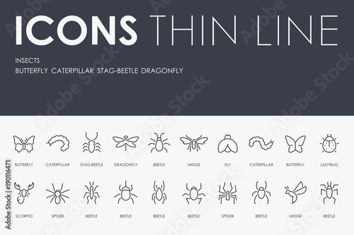 INSECTS Thin Line Icons