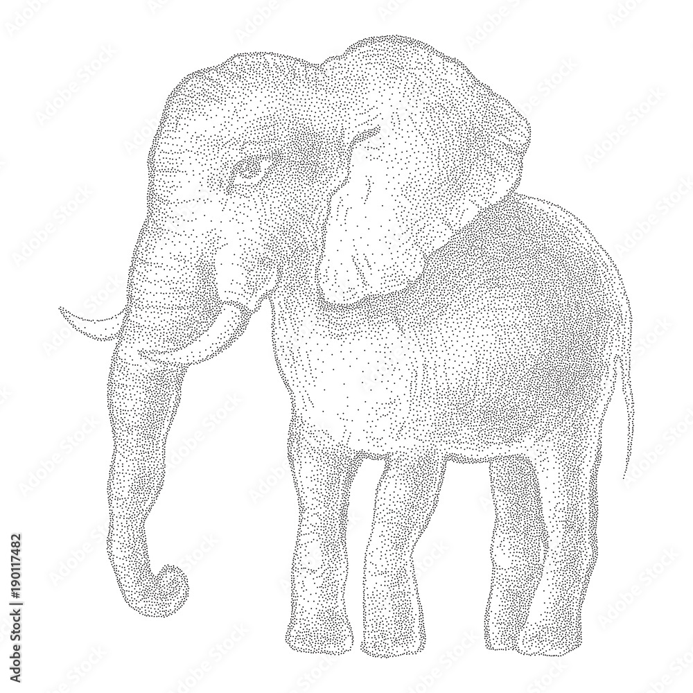 Fototapeta premium Elephant. Vector illustration