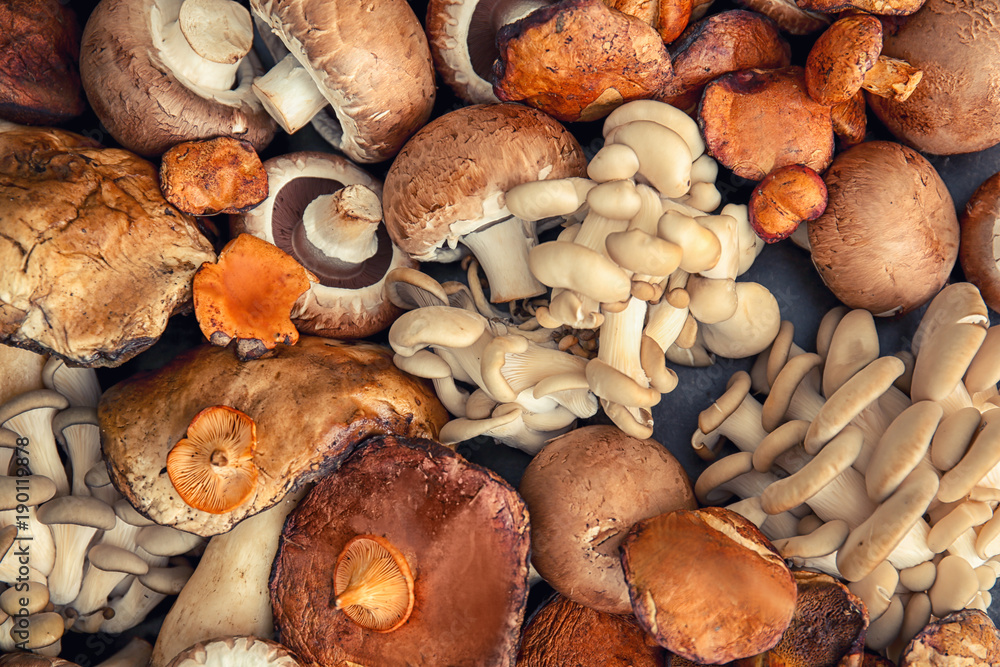 Fototapeta premium Assortment of fresh edible mushrooms, healthy organic food ingredients, culinary delicacy, and natural harvest
