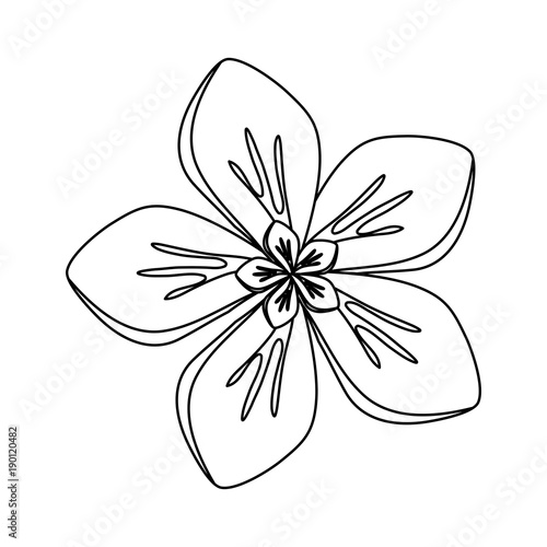 rustic floral design