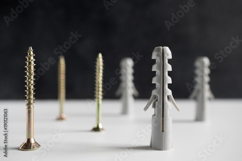 Принти на полотні Screw and dowel background