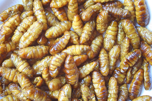 Stir fried silkworms , Local Thai food