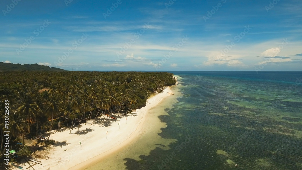 Fototapeta premium Aerial view of tropical beach on the island Bohol, Anda area, Philippines. Beautiful tropical island with sand beach, palm trees. Tropical landscape: beach with palm trees. Seascape: Ocean, sky, sea