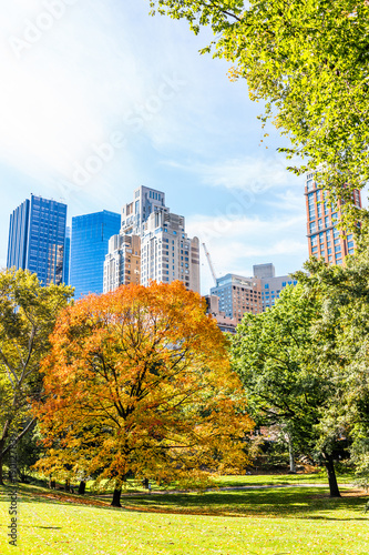 Manhattan New York City NYC Central park with one orange trees, nobody, cityscape buildings skyline in autumn fall season with yellow vibrant saturated foliage © Kristina Blokhin