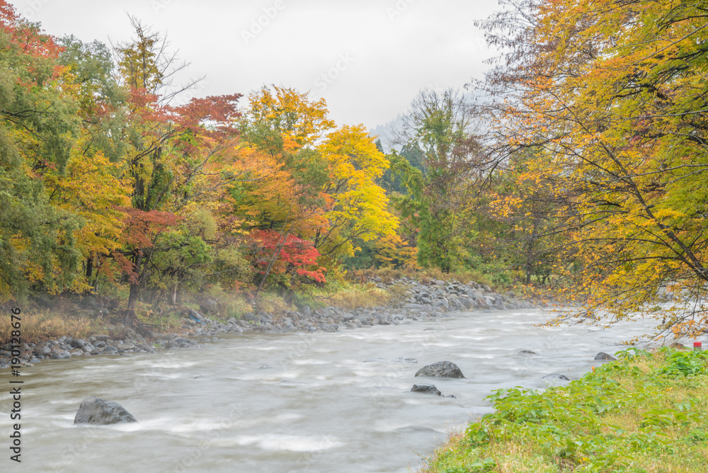 autumn river scenery