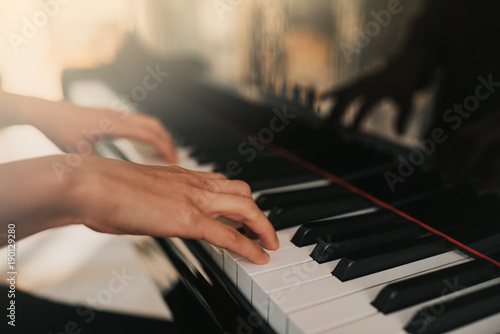 Piano music pianist hands playing. Musical instrument grand piano details with performer hand on white background photo