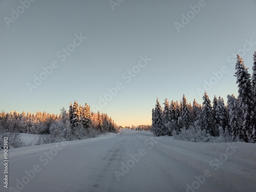 Winter north sun  © Maxim