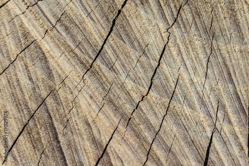 Texture of the cut surface of cracked dry natural wood