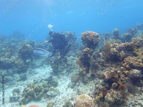 Scuba Diver at Coral Reef