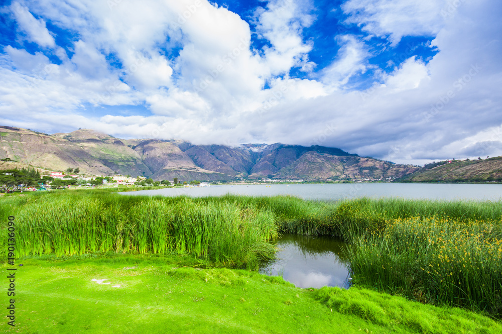 Beautiful view of some typical plants in the beautiful Yahuarcocha lake, with a gorgeous cloudy day in Ecuador