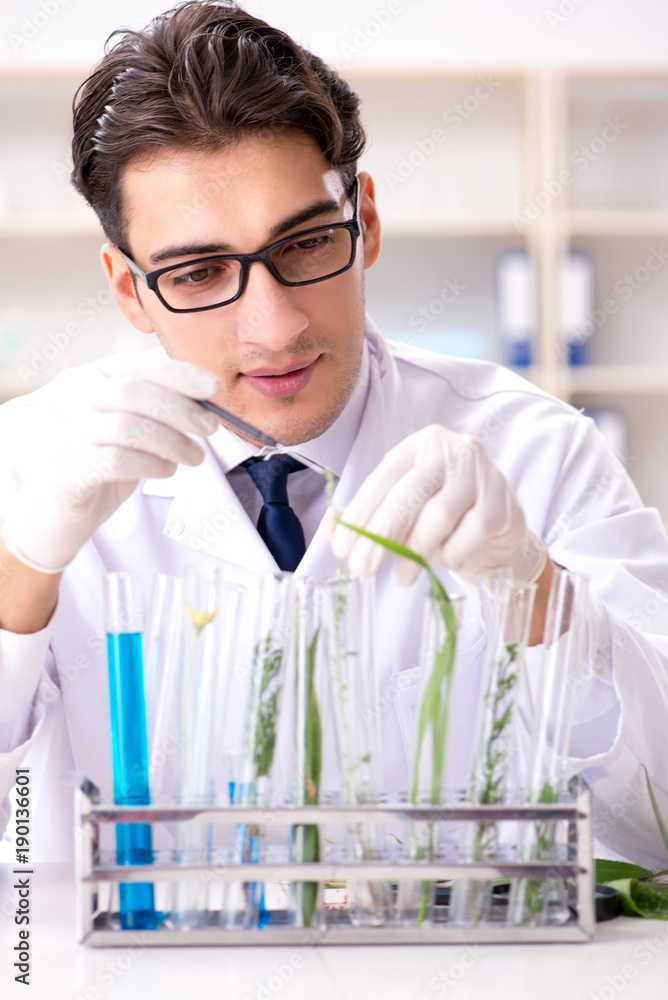 Biotechnology scientist chemist working in lab Biotechnology scientist chemist working in lab
