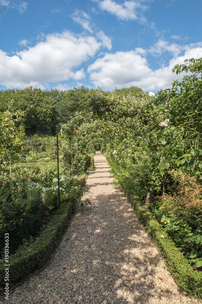 English Country Garden Path in the summer